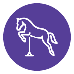 ICON_HORSE_20200312-01