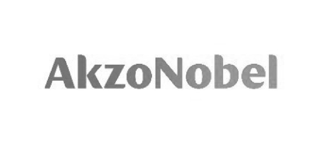 Akzonobel greyscale logo for landing page template - 20250730