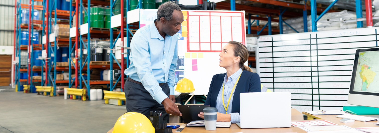 sap syclo inventory manager
