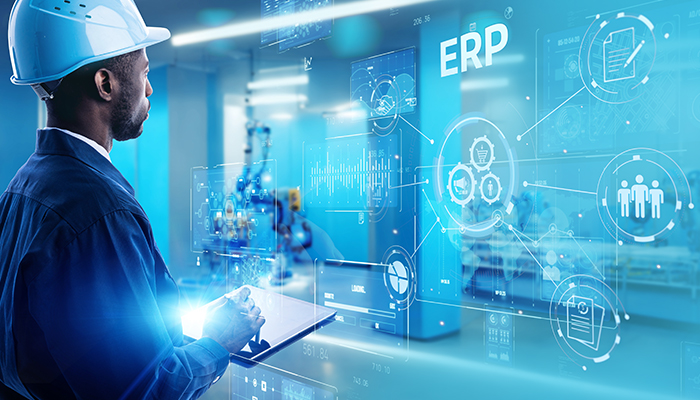 Maximizing Your S/4HANA Investment: Strategies for Long-Term Success